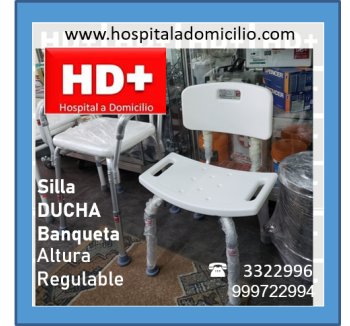 Silla Ducha Económica